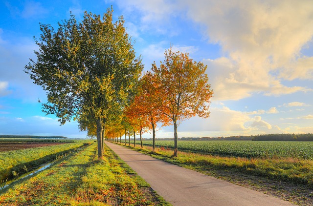 road-gbf38e484c_640